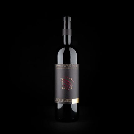 Syrah - Encre de la Terre vin rouge du Valais du Domaine Claudy Clavien à Miège